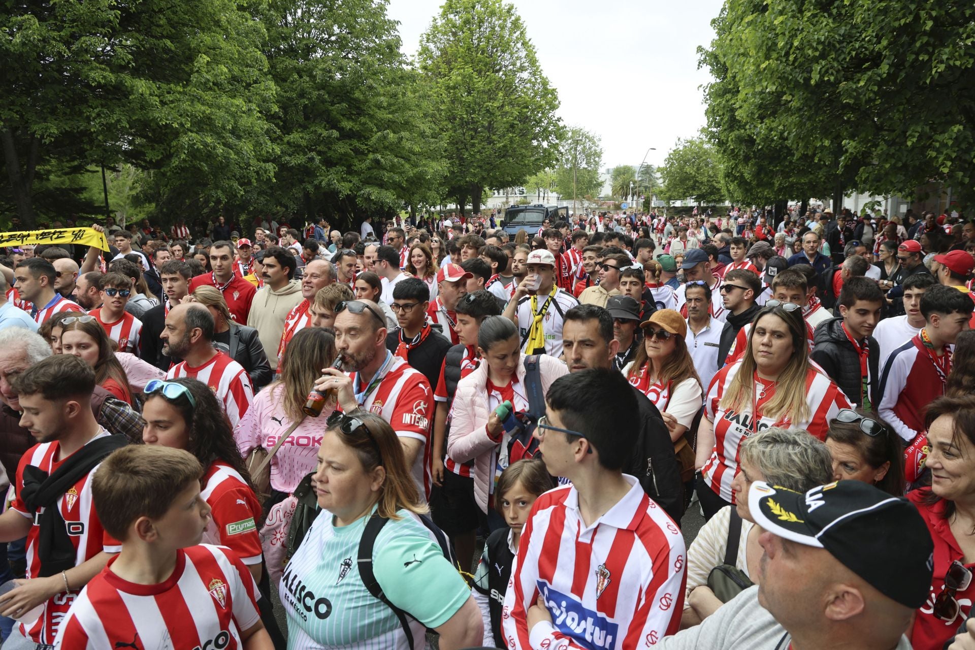 ¿Estuviste en el Sporting de Gijón - Cartagena? ¡Búscate entre las fotos!