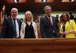 Diputados del grupo de Vox en la Junta General: Gonzalo Centeno, Sara Álvarez Rouco, Javier Jové y Carolina López.