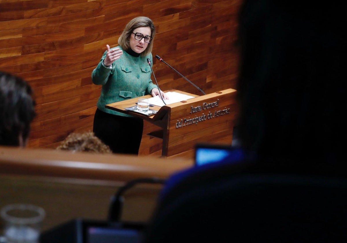 Lydia Espina, este martes, en la Junta General.