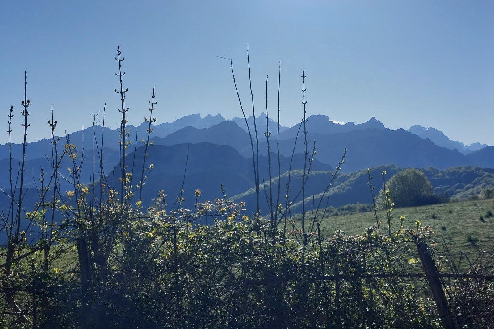 Vistas desde Les Bedules, lugar del que parte la ruta.