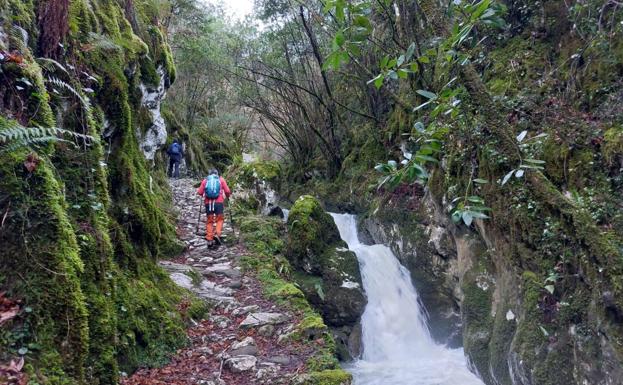 Subiendo por el Beyu Pen, entre agua y floresta salvaje.