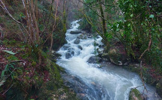 El agua está muy presente en esta ruta por el Beyu Pen y su música no cesa durante toda la caminata.