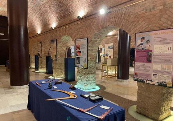 La exposición 'Los bosques ante el cambio climático: un futuro incierto' en el Auditorio Príncipe Felipe. E. C.