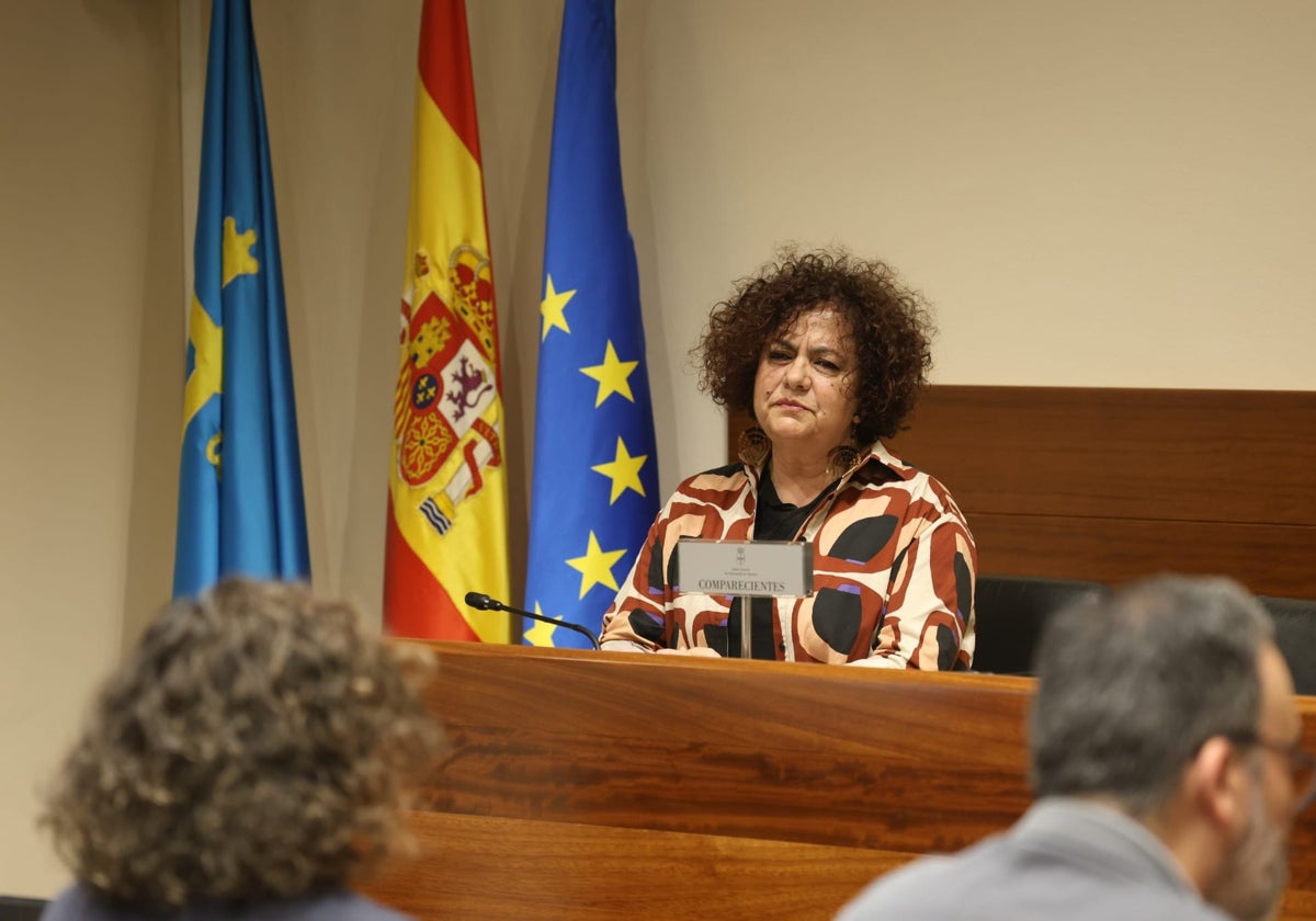 Marta del Arco, durante su comparecencia en la Comisión de Derechos Sociales y Bienestar de la Junta General del Principado.