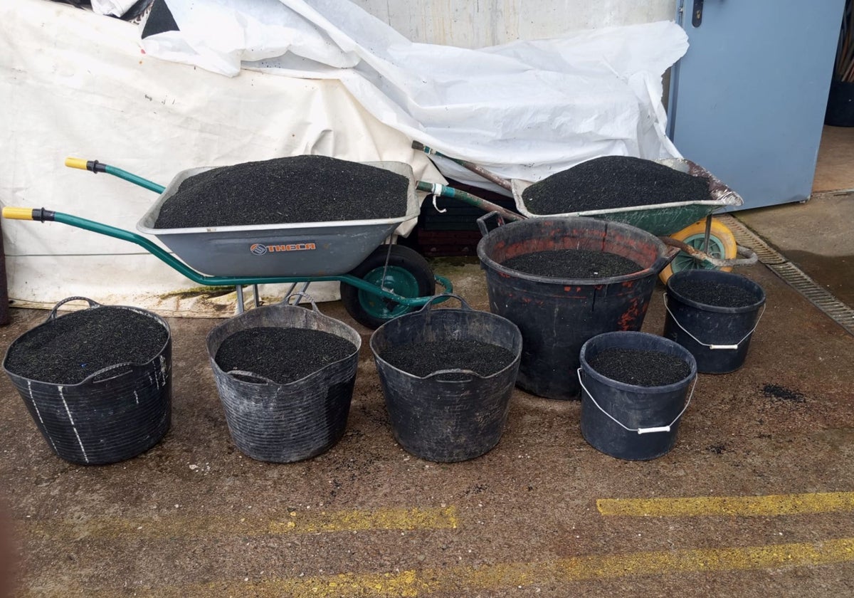Cubos y carretillos con los restos de caucho recogidos por el Club Deportivo Arenal.