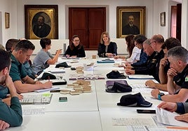 Reunión de la comisión mixta de violencia de género de Siero y Noreña, en La Pola.