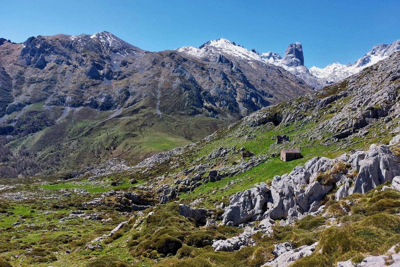 Preciosa majada en el descenso de Peña Maín.