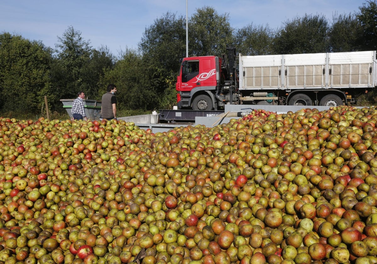 La DOP de la sidra se pone en marcha para diseñar su plan estratégico