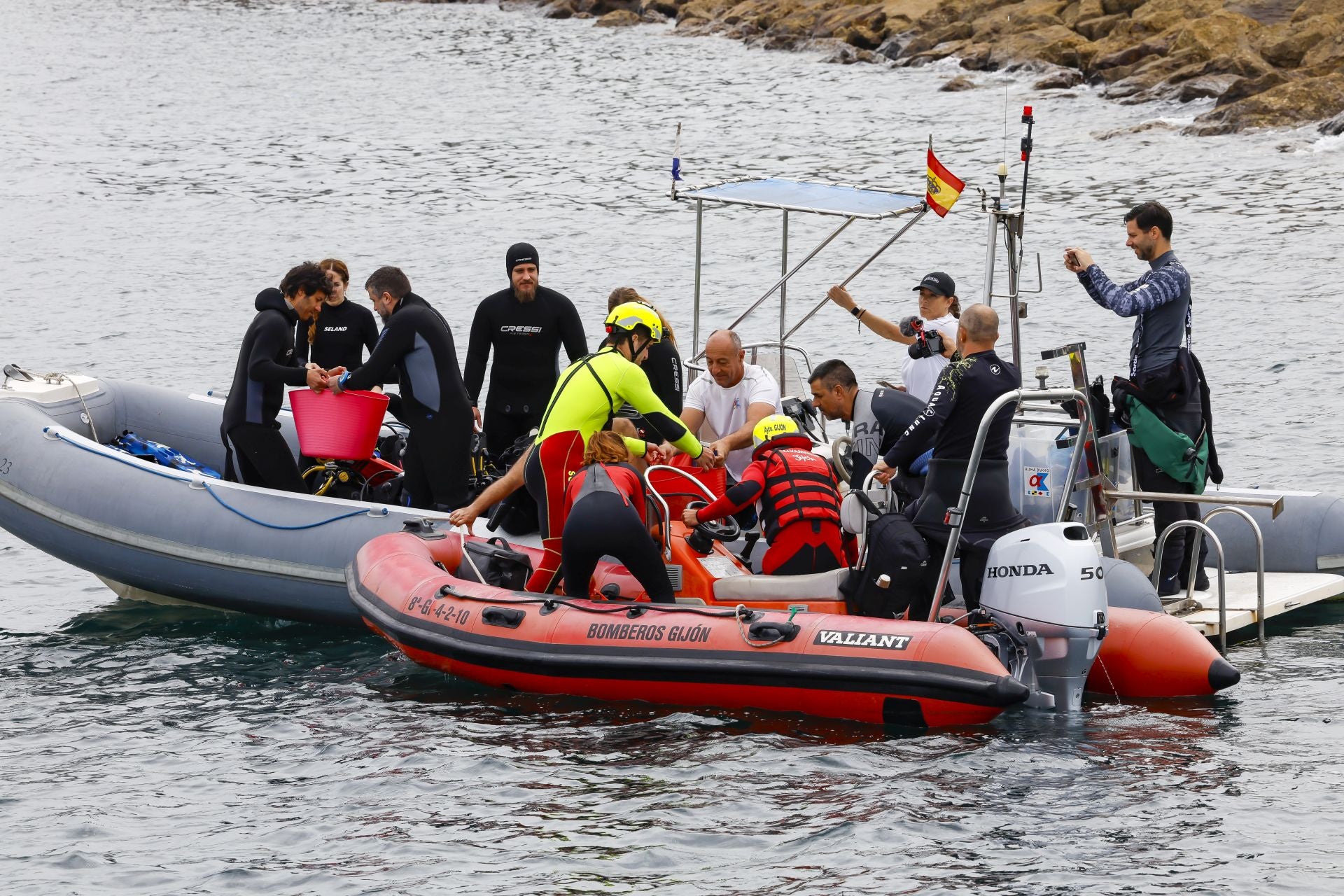 Suelta de 50 crías de tiburón pintarroja al mar en Gijón