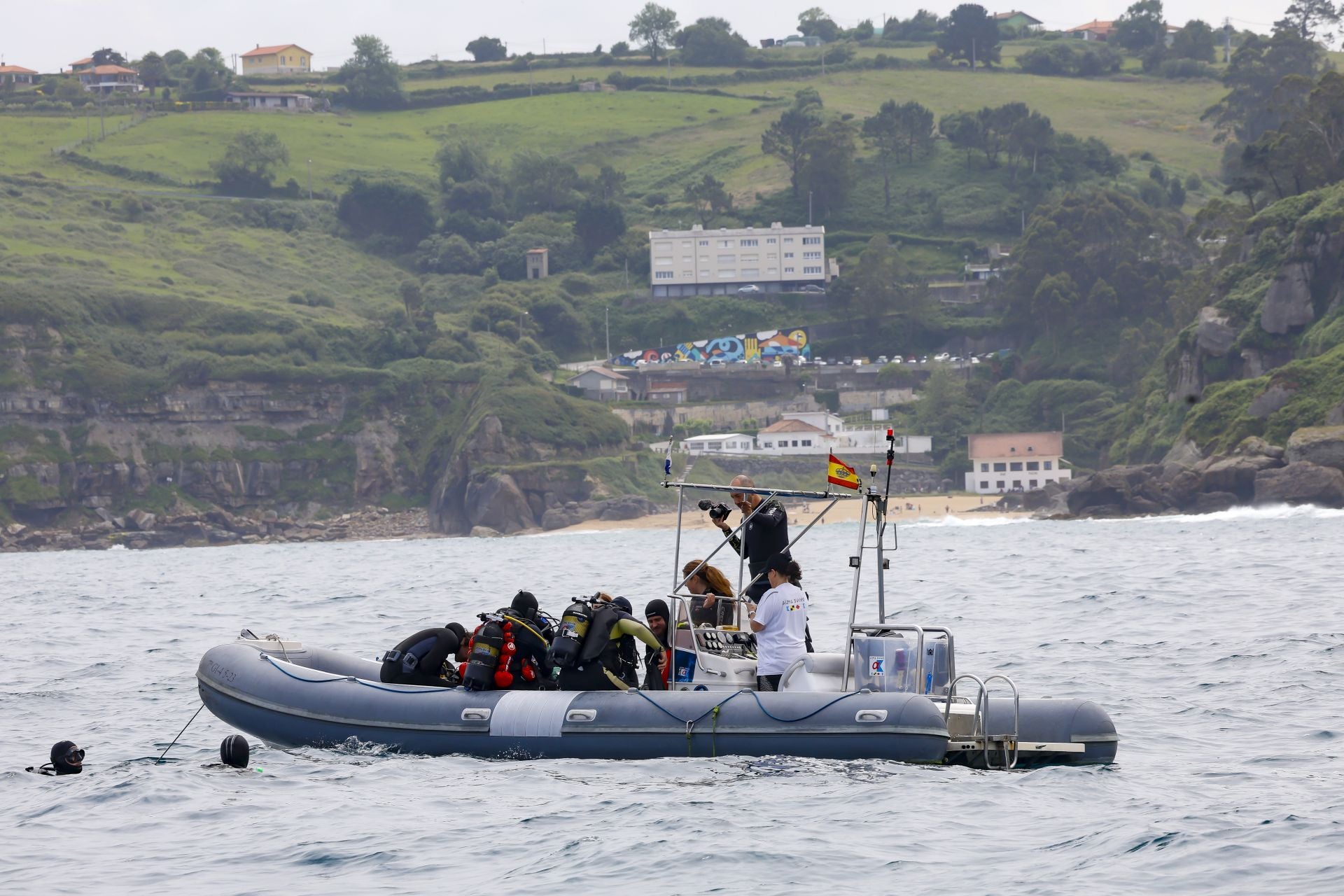 Suelta de 50 crías de tiburón pintarroja al mar en Gijón