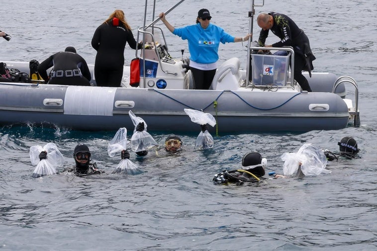 Los buceadores sujetan las bolsas con los tiburones pintarrojas momentos antes de su introducción al mar.