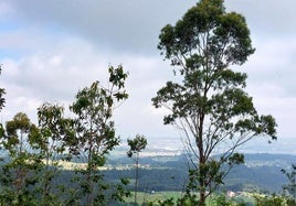 Vistas hacia la zona de Avilés desde los altos cercanos al pico Prieto. Aunque lo que más resalta de esta ruta no son sus vistas sino su tranquilidad y su trazado sencillo, perfecto para una jornada senderista tranquila y/o en familia.
