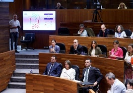 El apoyo de la mayoría simple de la Cámara asturiana no fue suficiente para sacar adelante la reforma del Estatuto de Autonomía.