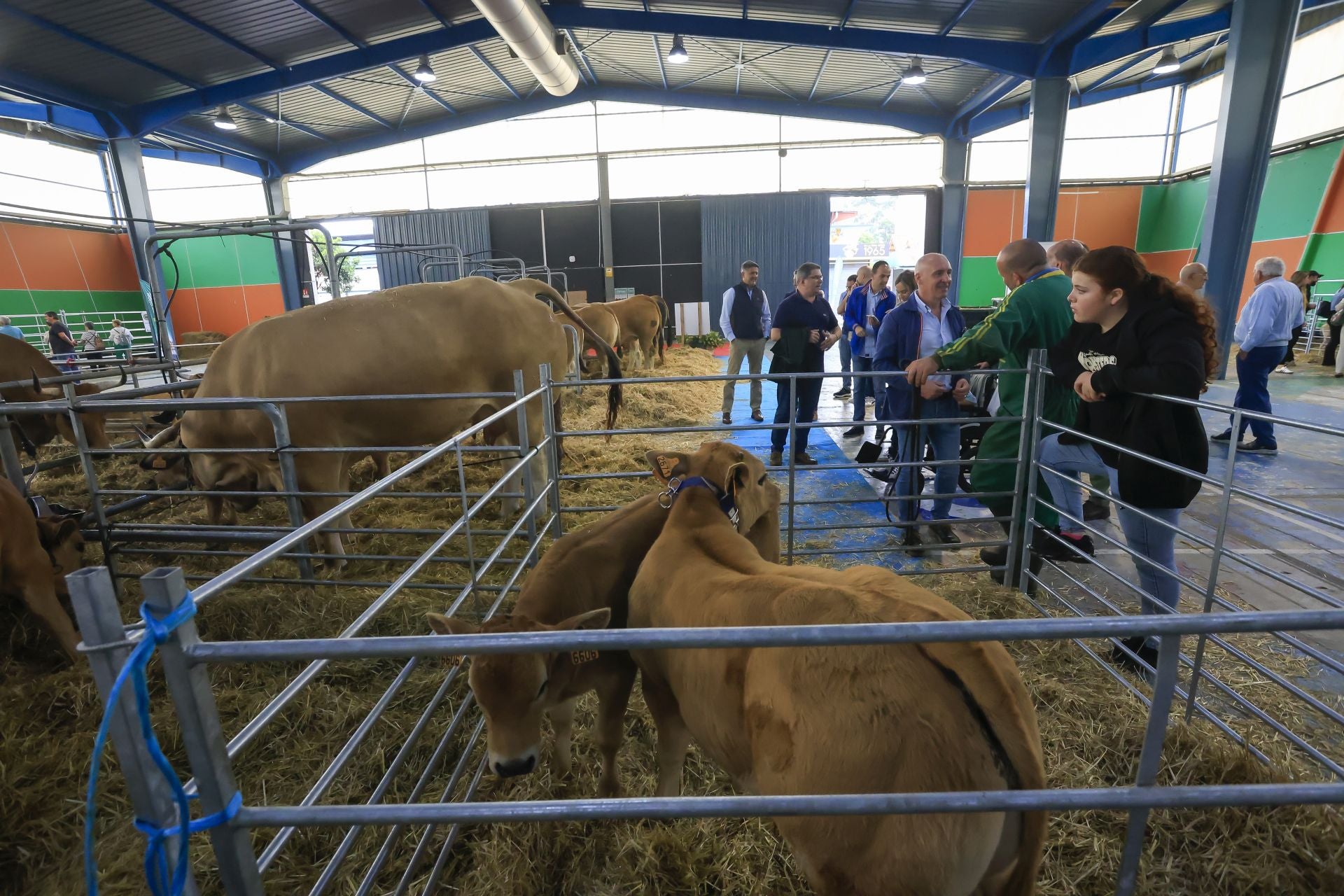 Fotos: Feria de San Antonio en Gijón