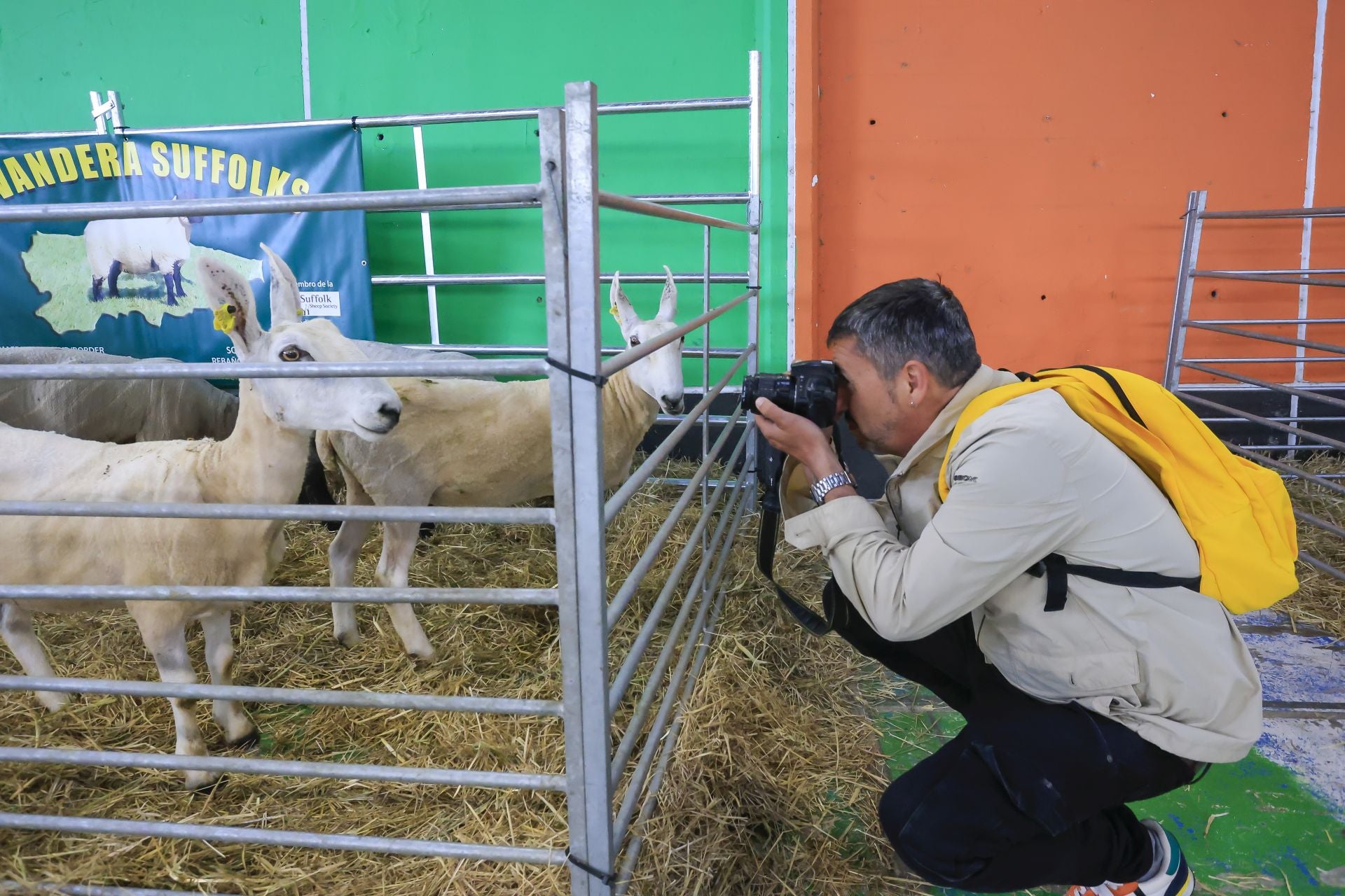 Fotos: Feria de San Antonio en Gijón