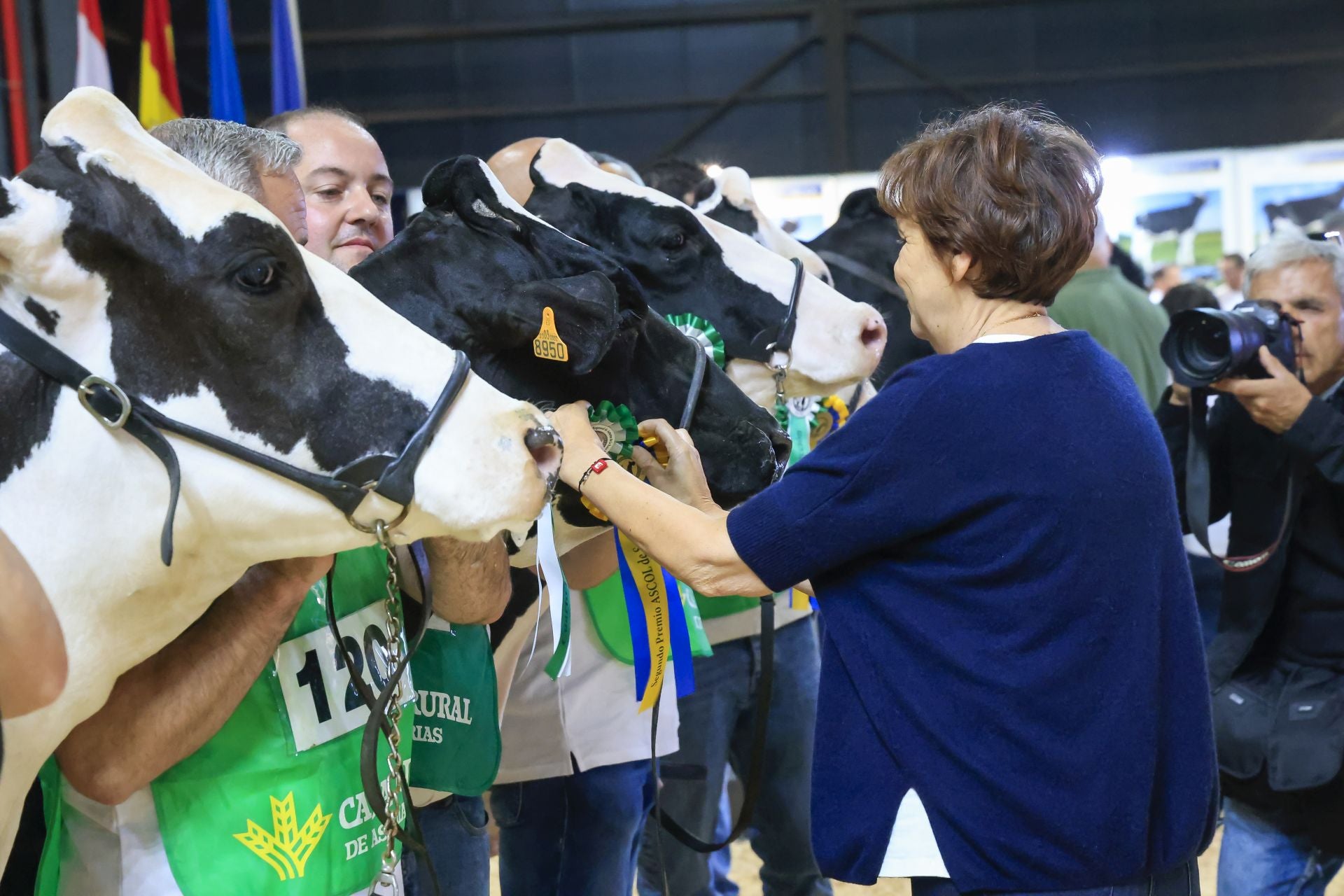 Fotos: Feria de San Antonio en Gijón
