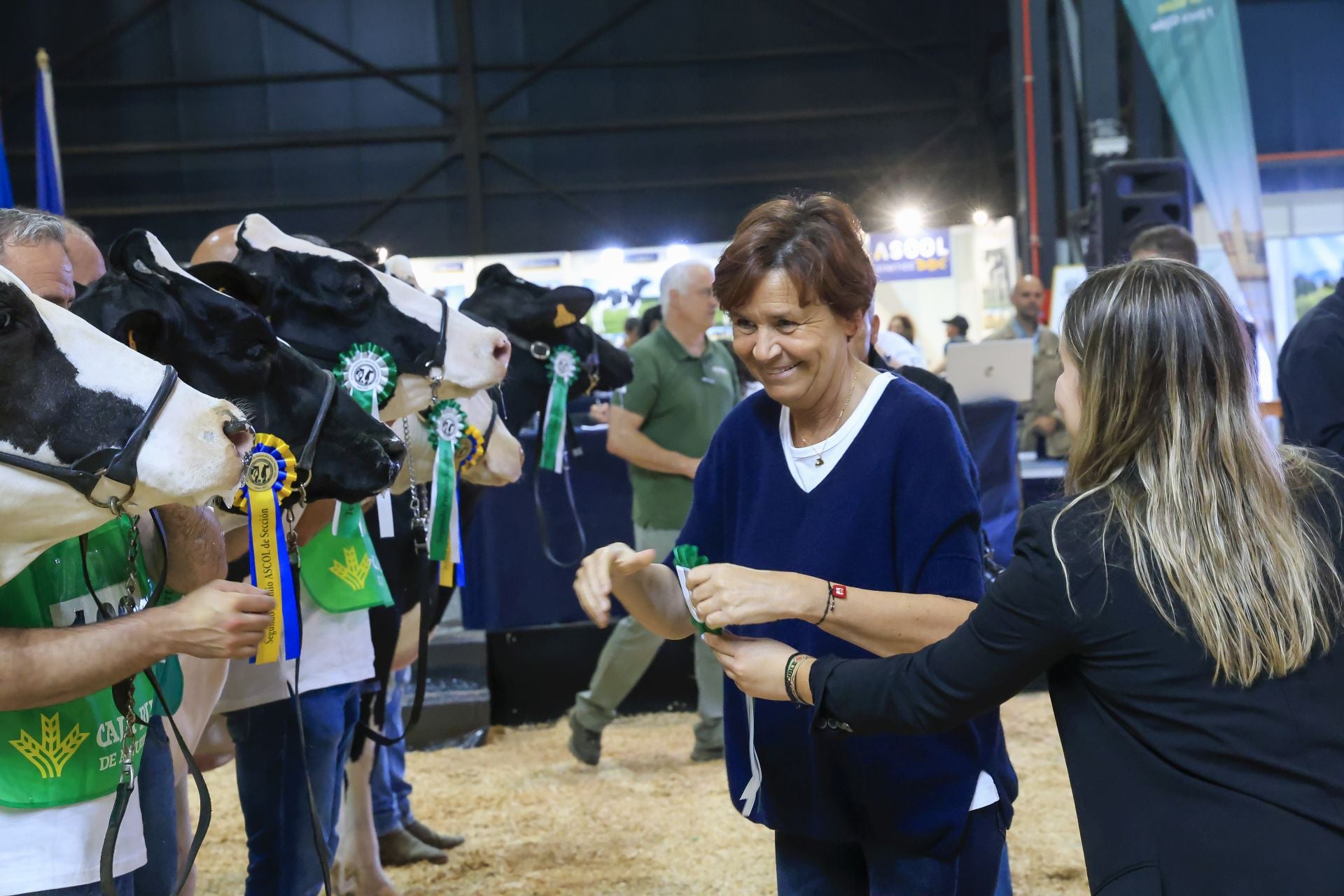 Fotos: Feria de San Antonio en Gijón
