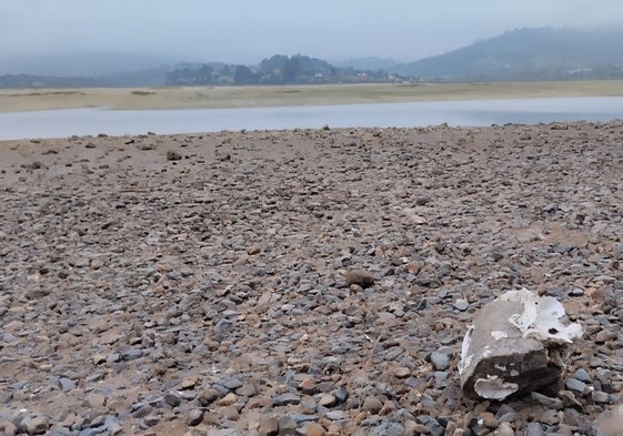 Zona de El Puntal en la que Asga proyecta su planta de preengorde de Almejas.