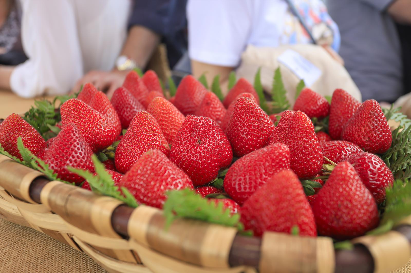 Imagen secundaria 2 - Gran animación en el XLVI Festival de la Fresa de Candamo