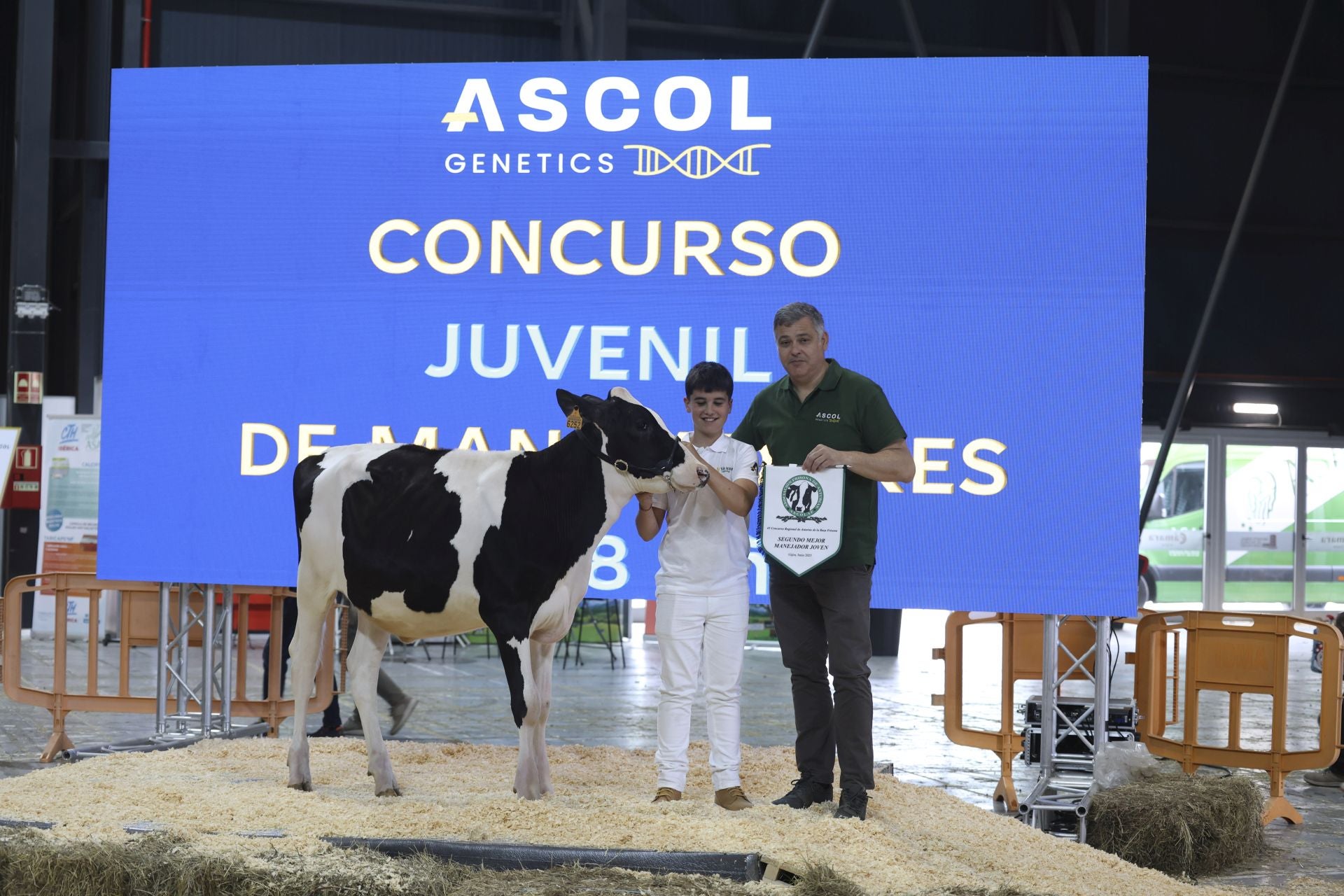 Concurso de manejadores en la Feria de San Antonio en Gijón, en imágenes