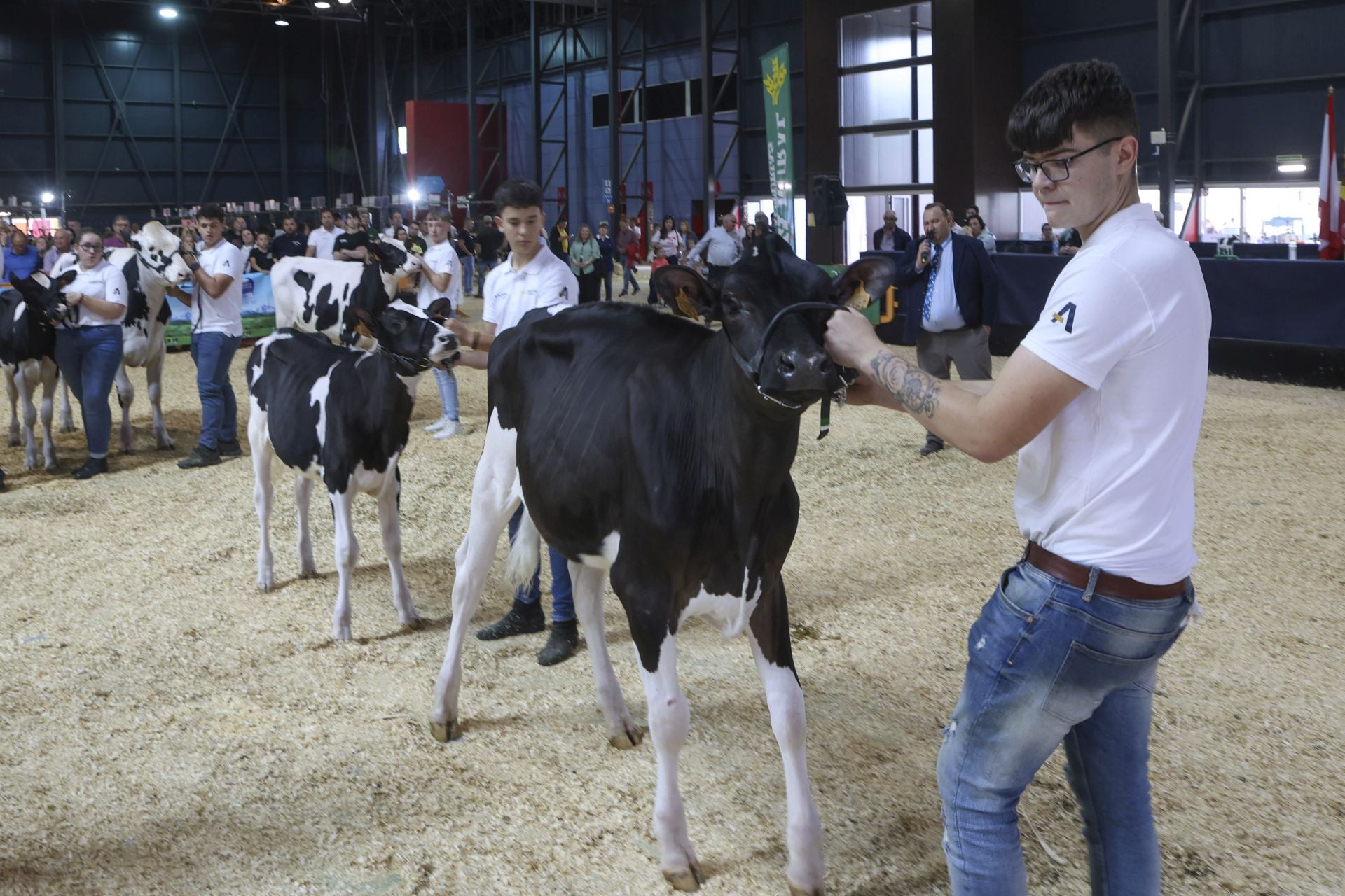 Concurso de manejadores en la Feria de San Antonio en Gijón, en imágenes