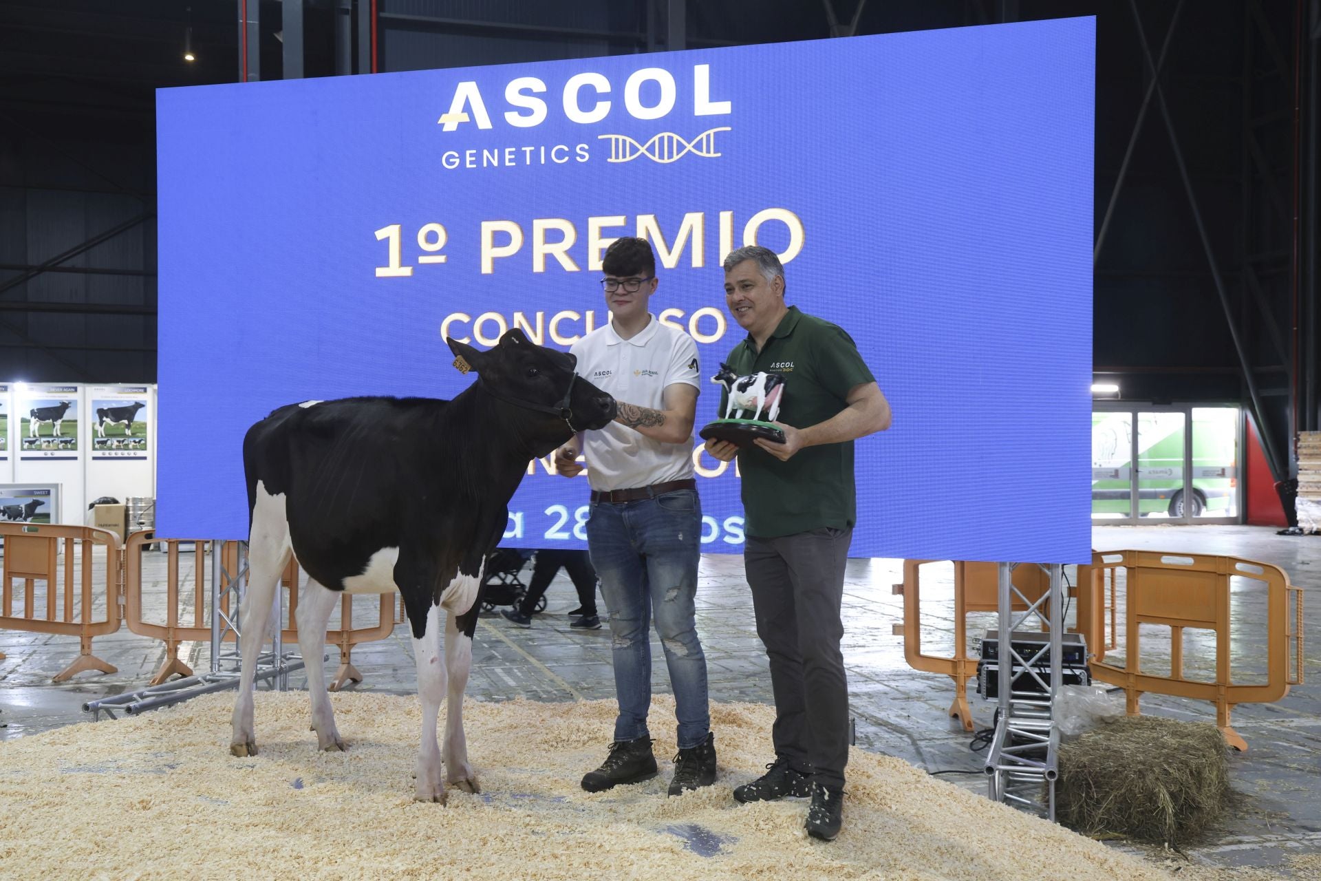 Concurso de manejadores en la Feria de San Antonio en Gijón, en imágenes