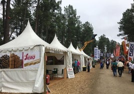 Maderas Siero reafirma su liderazgo en el sector de la madera de castaño en Asturforesta