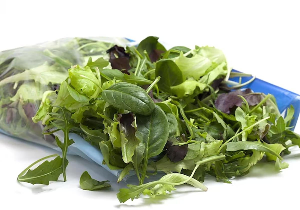 Expertos recomiendan a mujeres embarazadas y pacientes inmunodeprimidos lavar siempre bien estas y otras verduras que se consuman crudas