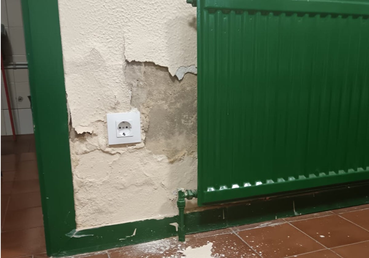 Imagen de Galeria 