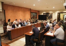 Pelayo García, primero por la derecha, en la bancada del gobierno. Frente a ellos, PP y Vox.
