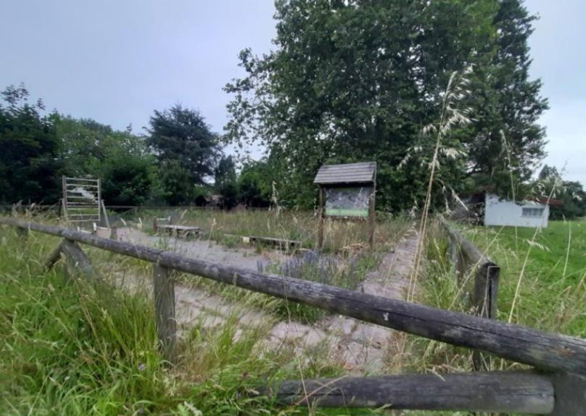 Imagen secundaria 1 - Los daños del argayo siguen a la vista en Huelgues, mientras el campo de petanca es tomado por la vegetación y las aceras no hacer honor a su nombre.