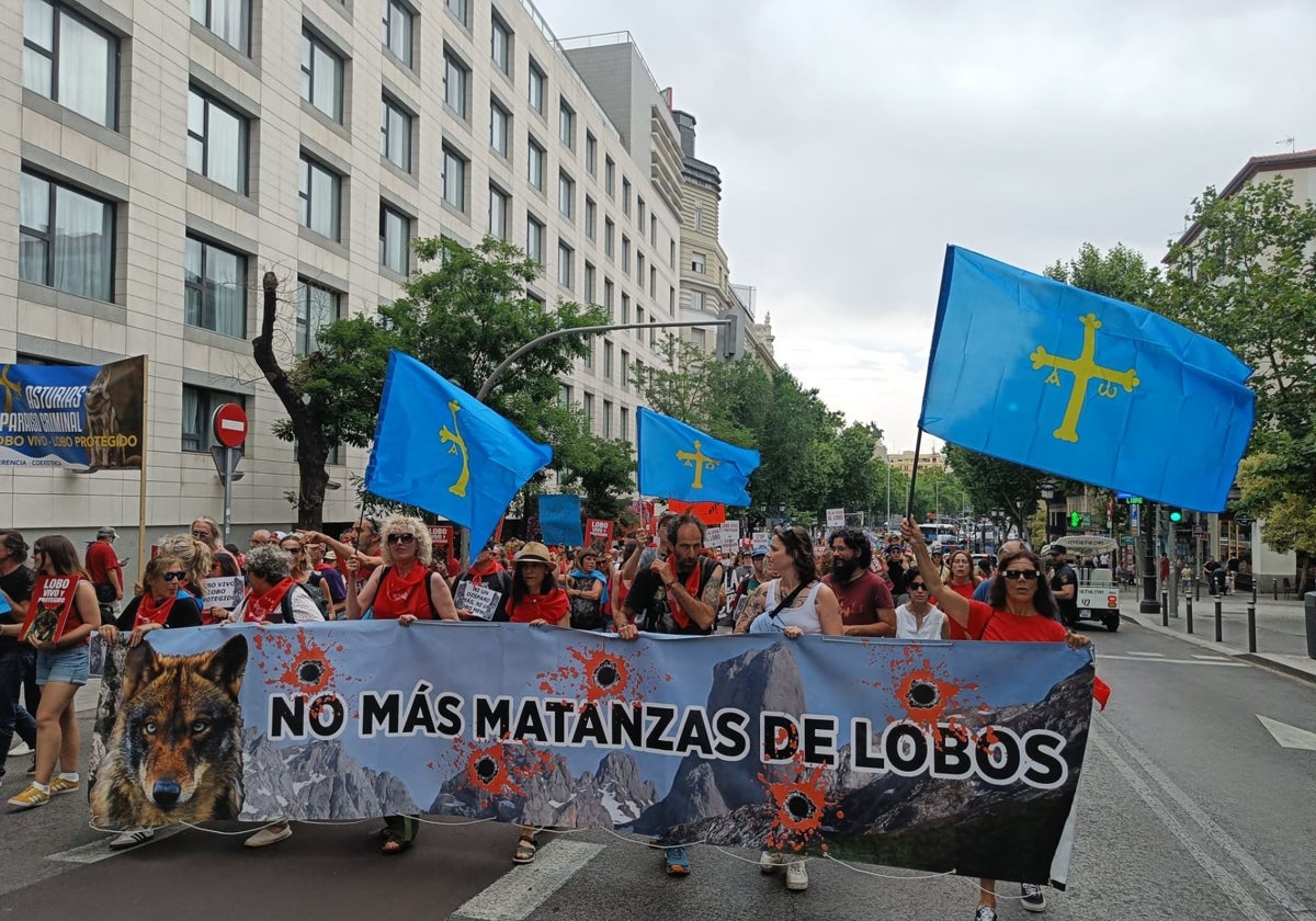 Conservacionistas asturianos en la marcha apoyada por 169 colectivos hoy en Madrid.