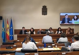 Guillermo Peláez, durante la comisión de Hacienda.