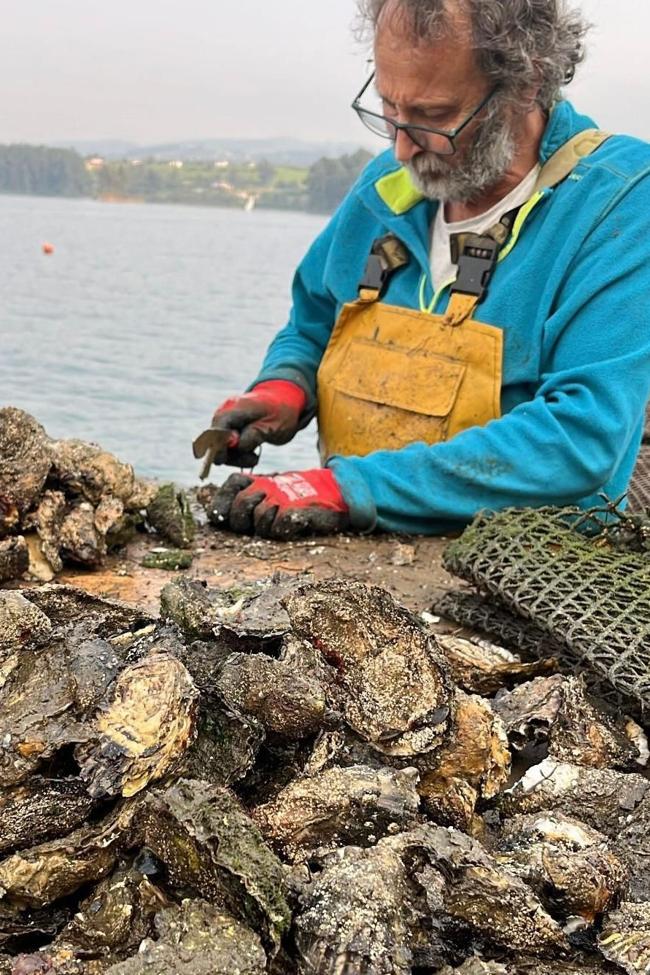 Eduardo Martín cultiva ostras en Acueo.