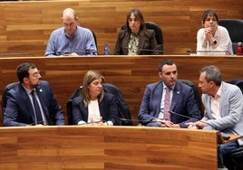 Adrián Barbón, Gimena Llamedo, Guillermo Peláez y Ovidio Zapico, sus escaños en la Junta General.