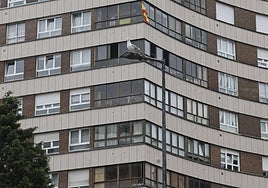 Una gaviota sobre una de las luminarias que serán sustituidas por led.