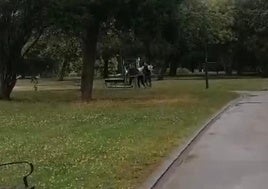 Momento de la detención del presunto ladrón en el Polígono de Pumarín.