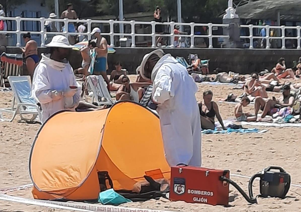 Dos hombres, con los trajes profesionales de apicultura, en San Lorenzo para retirar el nido.