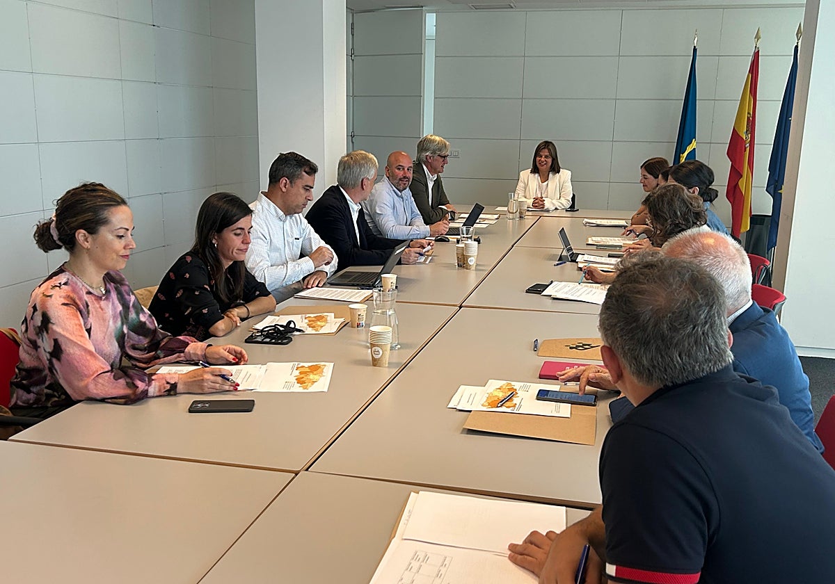 La vicepresidenta del Principado, Gimena Llamedo, preside la comisión gubernamental.