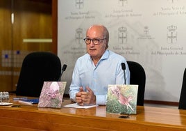 Luis Venta, en su comparecencia en la Junta General.