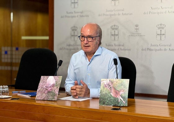 Luis Venta, en su comparecencia en la Junta General.