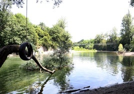 El tramo del río Nalón, a su paso por Las Caldas, donde se ahogó un joven de 18 años este miércoles.