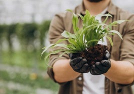 La gestión de datos en el sector agro