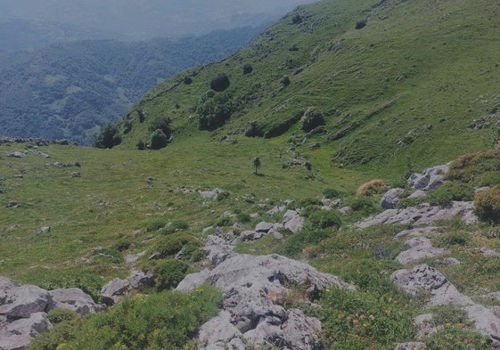Valle de Covariega, ya en la parte alta del Aramo, tras superar el guapo y pindio paso entre peñas que es la Cueña Covariega.