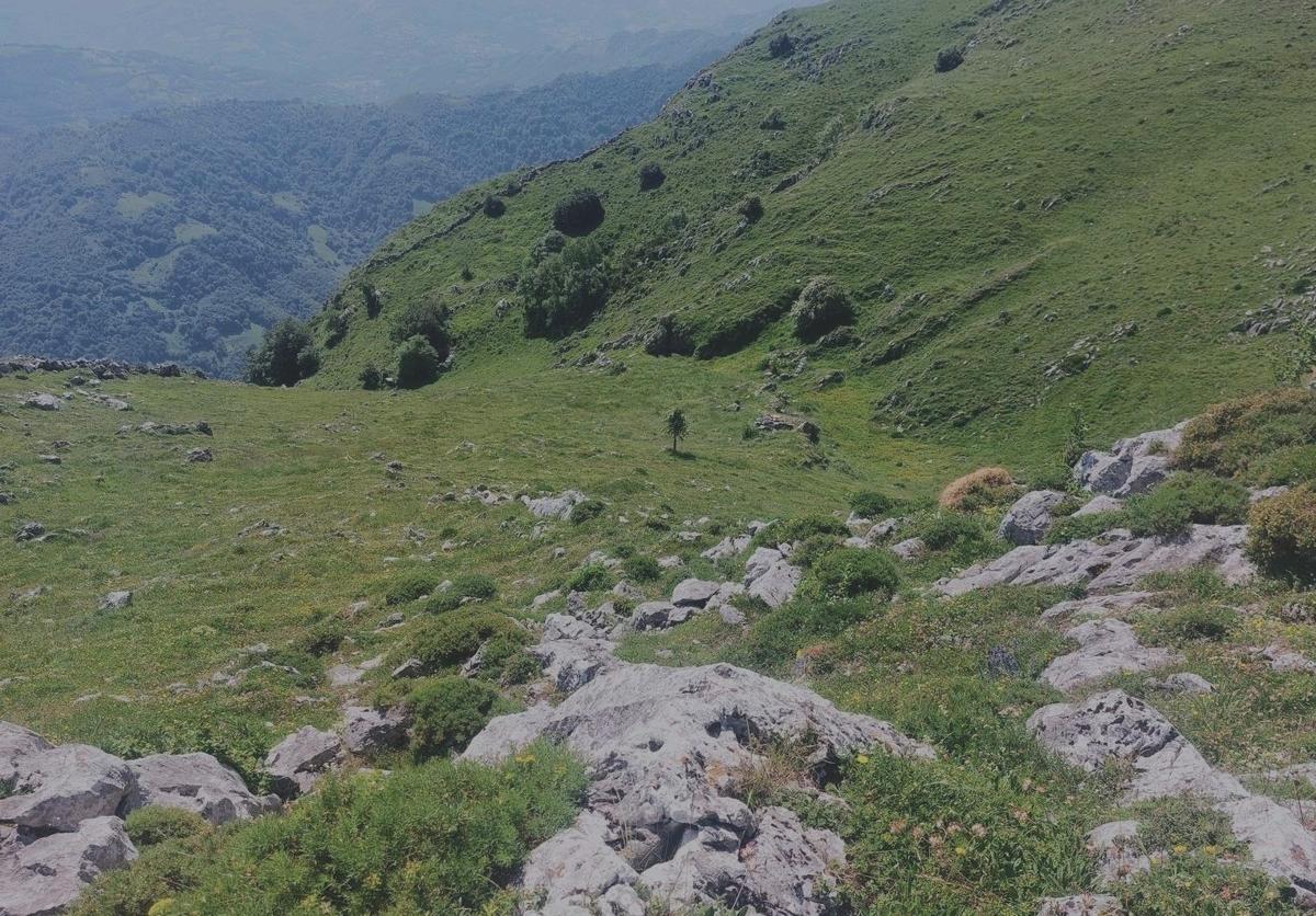 Valle de Covariega, ya en la parte alta del Aramo, tras superar el guapo y pindio paso entre peñas que es la Cueña Covariega.