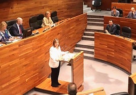 Gimena Llamedo defiende la Ley Simplifica en la sesión de hoy.