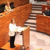 Gimena Llamedo defiende la Ley Simplifica en la sesión de hoy.
