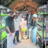 El consejero de Ciencia, Industria y Empleo, Borja Sánchez, con el alcalde de Laviana, Julio García; Mamen Oliván, directora del Serida, y los confundadores de Cantábrica Agricultura Urbana, Javier Espina y Tesa Portillo, en el huerto subterráneo del pozo Carrio