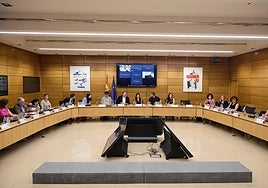 Marta del Arco, primera por la izquierda, en la reunión que presidió la ministra de Juventud y Infancia, Sira Rego.