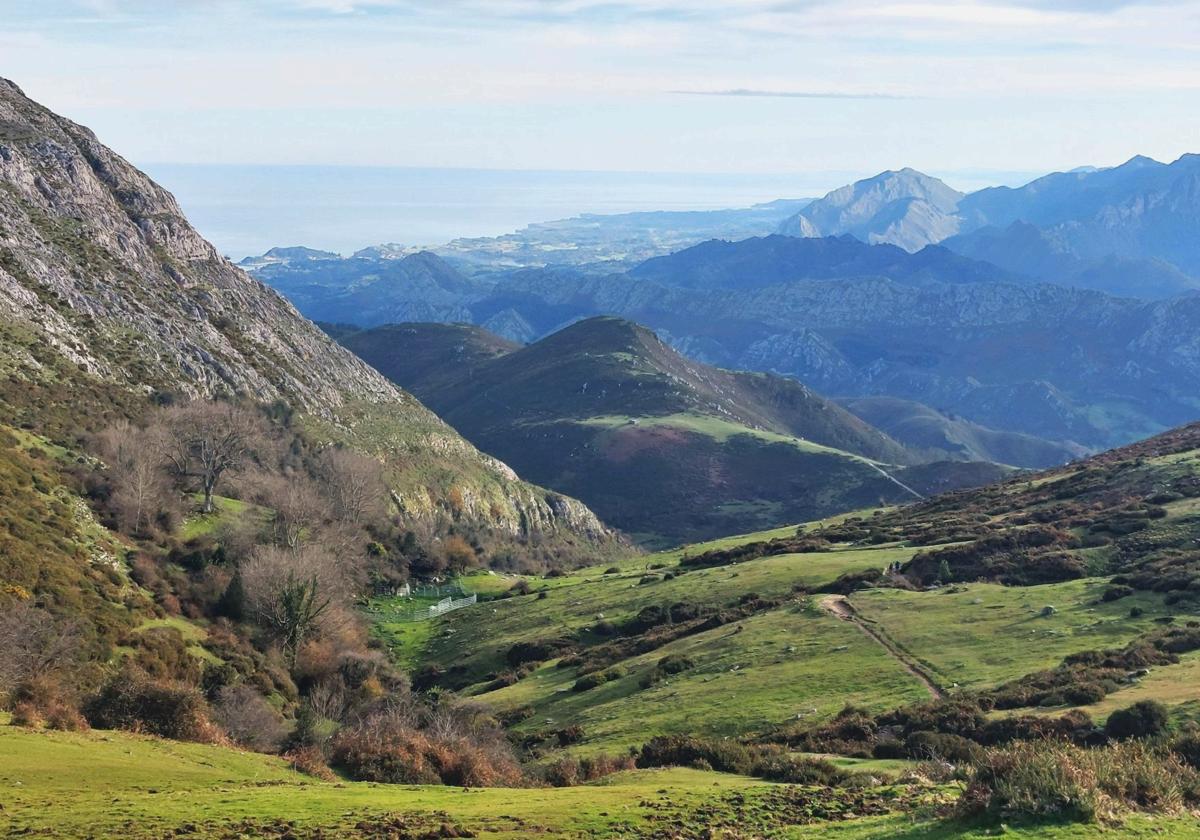 Esta ruta camina la cresta de la sierra del Sueve, coronando picos como el Babú y el Sellón antes de subirse al Pienzu. Luego, regresa al punto de partida recorriendo el hayedo de la Biescona, un bosque único lleno de magia.